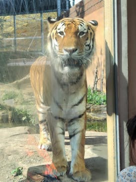 那須どうぶつ王国に投稿された画像（2024/7/24）