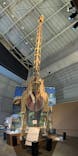 巨大恐竜展2024に投稿された画像（2024/7/24）