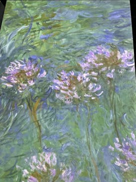 モネ＆フレンズ・アライブに投稿された画像（2024/7/24）