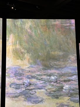 モネ＆フレンズ・アライブに投稿された画像（2024/7/24）