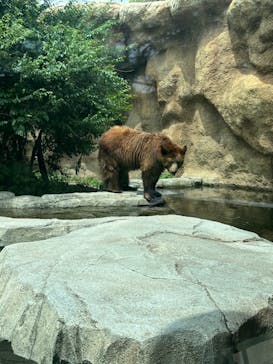 神戸どうぶつ王国に投稿された画像（2024/7/24）