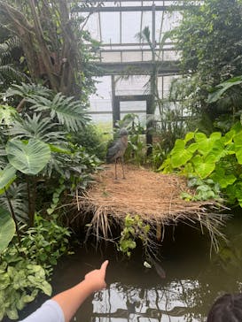 神戸どうぶつ王国に投稿された画像（2024/7/24）