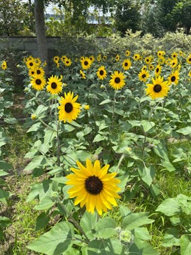 神戸どうぶつ王国に投稿された画像（2024/7/24）
