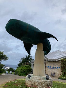 沖縄美ら海水族館に投稿された画像（2024/7/24）