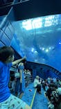 沖縄美ら海水族館に投稿された画像（2024/7/25）