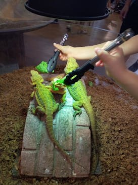 NARA IKIMONO MUSEUMに投稿された画像（2024/7/24）