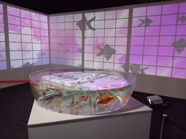 NARA IKIMONO MUSEUMに投稿された画像（2024/7/24）