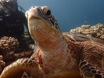 マリンショップtaitaiに投稿された画像（2024/7/24）