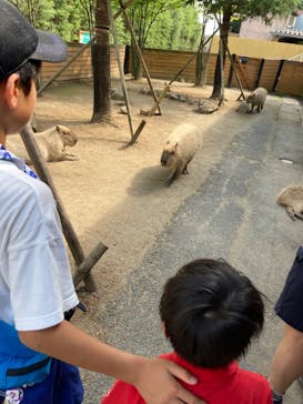 那須どうぶつ王国に投稿された画像（2024/7/25）