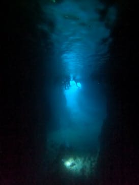 武藤潜水に投稿された画像（2024/7/25）