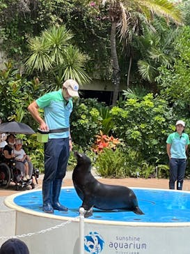 サンシャイン水族館に投稿された画像（2024/7/25）