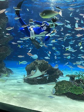 サンシャイン水族館に投稿された画像（2024/7/25）