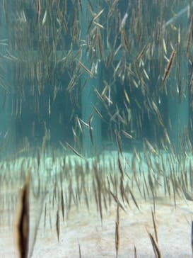 AOAO SAPPOROに投稿された画像（2024/7/25）