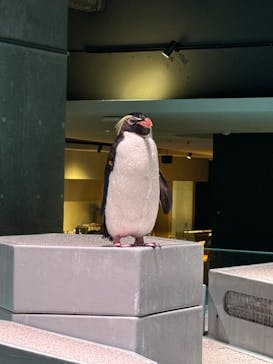 AOAO SAPPOROに投稿された画像（2024/7/25）