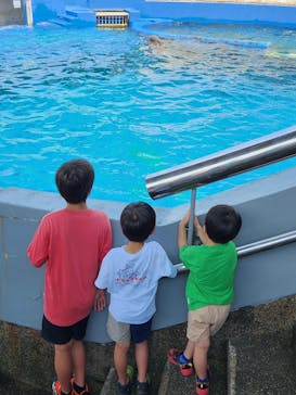 大分マリーンパレス水族館 「うみたまご」に投稿された画像（2024/7/25）
