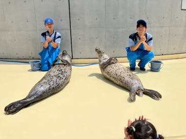 島根県立 しまね海洋館に投稿された画像（2024/7/25）