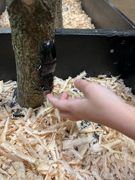 JOYPOLIS 特別イベントスペースに投稿された画像（2024/7/25）