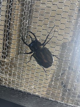 JOYPOLIS 特別イベントスペースに投稿された画像（2024/7/25）