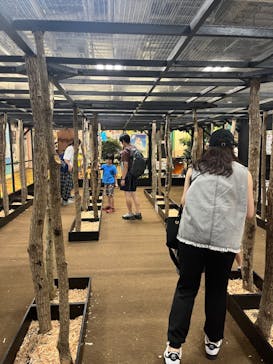 JOYPOLIS 特別イベントスペースに投稿された画像（2024/7/25）