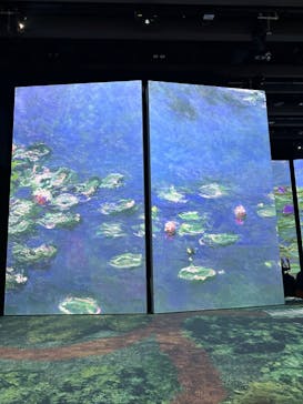 モネ＆フレンズ・アライブに投稿された画像（2024/7/25）