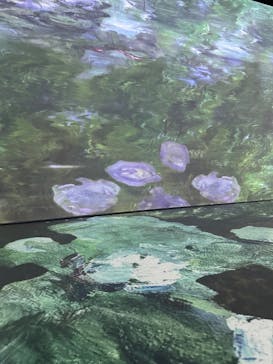 モネ＆フレンズ・アライブに投稿された画像（2024/7/25）