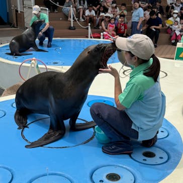 サンシャイン水族館に投稿された画像（2024/7/25）
