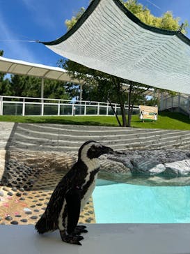 マリンワールド海の中道に投稿された画像（2024/7/25）