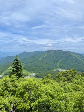 志賀高原ゴールデンラインに投稿された画像（2024/7/25）