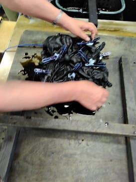 藍染工房 染屋たきうらに投稿された画像（2024/7/25）