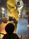 巨大恐竜展2024に投稿された画像（2024/7/25）