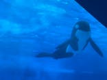 名古屋港水族館に投稿された画像（2024/7/25）