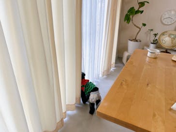 たのしく陶芸に投稿された画像（2024/7/25）