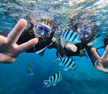 マリンクラブジジに投稿された画像（2024/7/25）