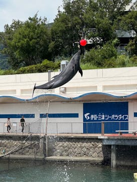 伊豆・三津シーパラダイスに投稿された画像（2024/7/25）