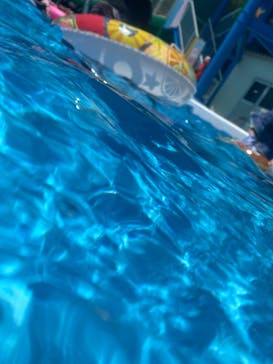 日本モンキーパークに投稿された画像（2024/7/25）