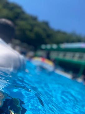 日本モンキーパークに投稿された画像（2024/7/25）