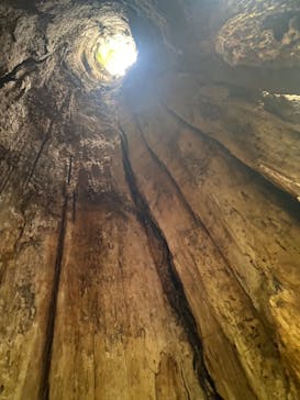 知床ネイチャーオフィスに投稿された画像（2024/7/25）