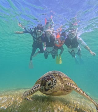 nico 宮古島に投稿された画像（2024/7/25）