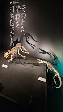 DinoScience 恐竜科学博 ～ララミディア大陸の恐竜物語～ 2024@OSAKAに投稿された画像（2024/7/25）