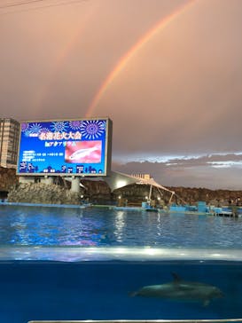 名古屋港水族館に投稿された画像（2024/7/25）