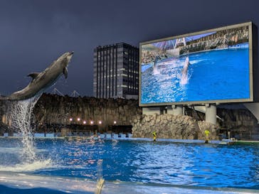 名古屋港水族館に投稿された画像（2024/7/25）