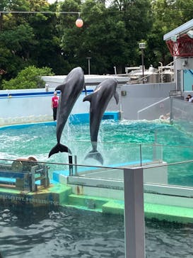 しながわ水族館に投稿された画像（2024/7/25）