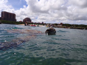nico 宮古島に投稿された画像（2024/7/25）
