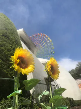 ひらかたパークに投稿された画像（2024/7/25）