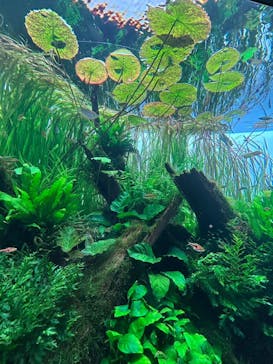 AOAO SAPPOROに投稿された画像（2024/7/25）