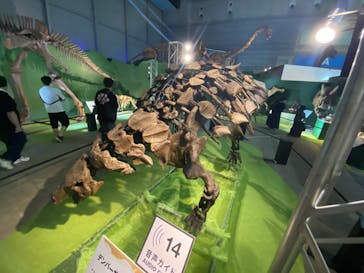 巨大恐竜展2024に投稿された画像（2024/7/25）