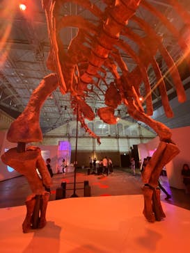 巨大恐竜展2024に投稿された画像（2024/7/25）