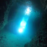 武藤潜水に投稿された画像（2024/7/26）