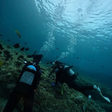 武藤潜水に投稿された画像（2024/7/26）