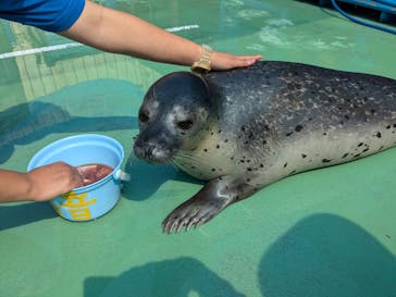 ゼロ距離水族館 伊勢シーパラダイスに投稿された画像（2024/7/26）